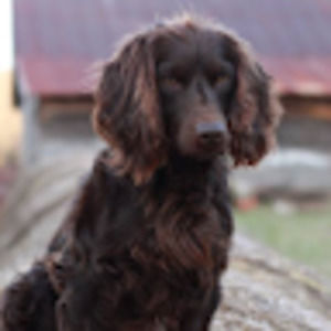 Meet your Posher, Lila